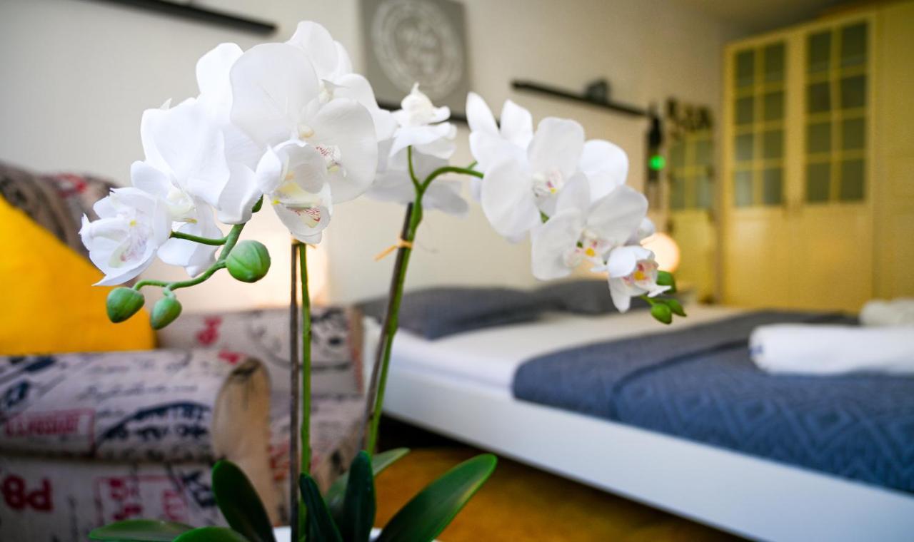 Cozy Apartment Margareten ウィーン エクステリア 写真